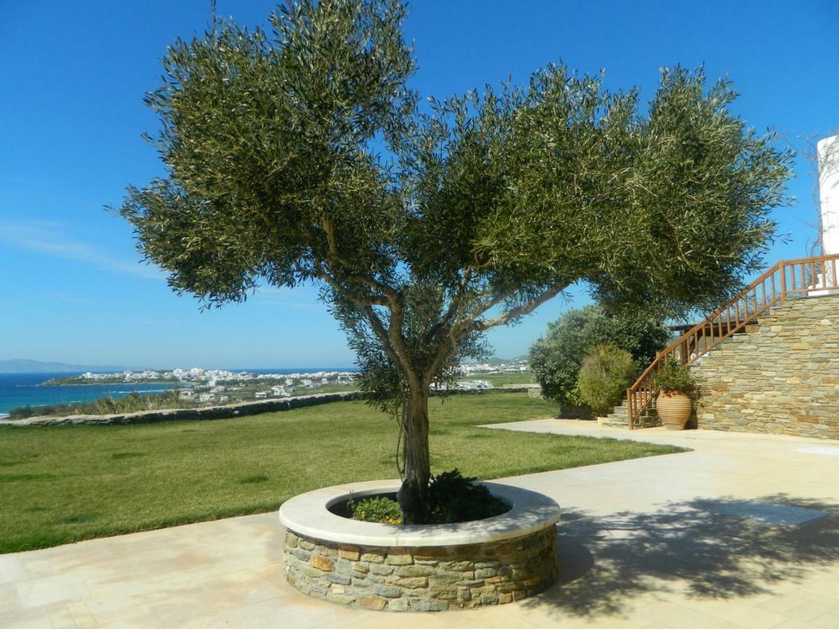 Grace Villa Τήνος Εξωτερικό φωτογραφία